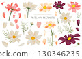 Background material of cosmos flowers painted by watercolor 130346235