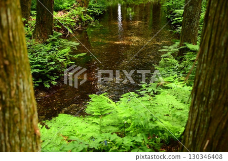 Hanamaki Mikumari Shrine, blessed with abundant spring water Hanamaki Mikumari Shrine, blessed with abundant spring water 130346408