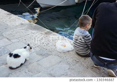 Stray cat stalks child's snack from behind Stray cat stalks child's snack from behind 130346887