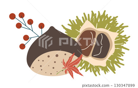 可愛的栗子插圖 可愛的栗子插圖 130347899