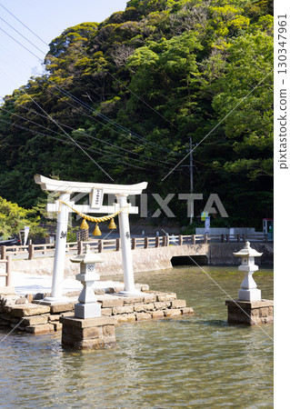 Tsushima Watatsumi Shrine Torii Gate Standing in the Sea 130347961