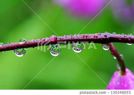 Raindrops Raindrops 130348055