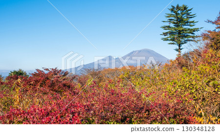 舊碓冰嶺展望台（秋季）：眺望淺間山 130348128