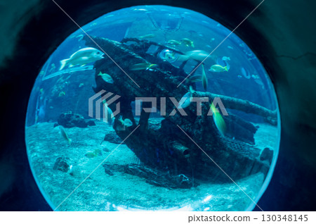 失事 失事 130348145