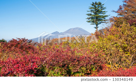 Old Usui Pass Observation Deck (Autumn): Overlooking Mount Asama 130348149