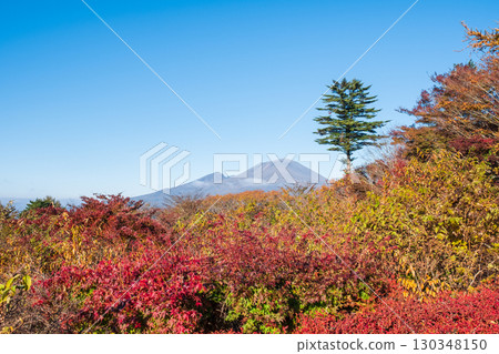 Old Usui Pass Observation Deck (Autumn): Overlooking Mount Asama 130348150