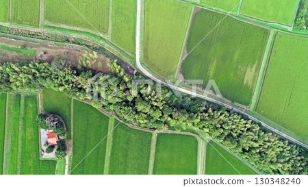 鳥瞰羽安神社和稻田 130348240
