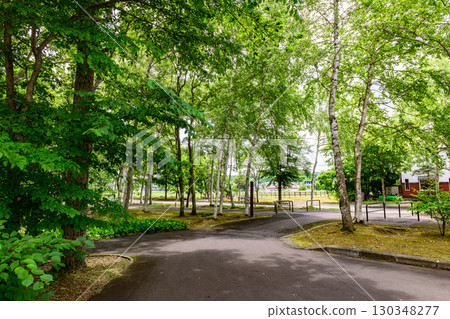 夏季的弟子屈町水鄉公園和釧路川大橋在藍天的襯托下熠熠生輝 130348277