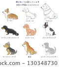 水彩手繪插畫組側身坐著的狗 130348730