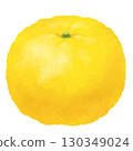 Illustration of Yuzu 130349024