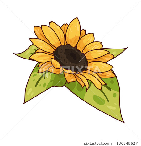 illustration of sunflower illustration of sunflower 130349627