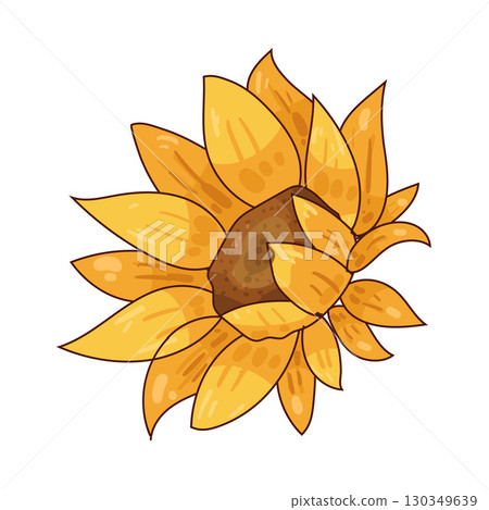 illustration of sunflower 130349639