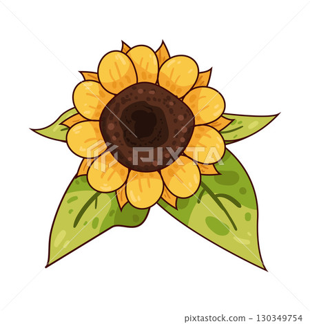 illustration of sunflower 130349754
