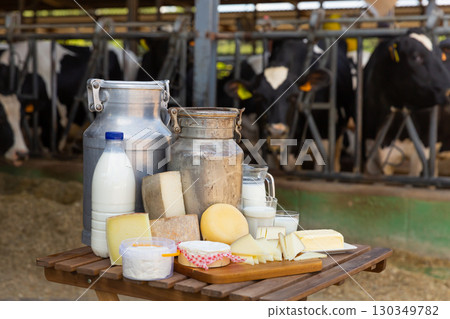 Fresh dairy products on table on background of cows in stall Fresh dairy products on table on background of cows in stall 130349782