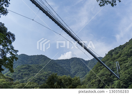 Aya's Teruha Large Suspension Bridge Aya's Teruha Large Suspension Bridge 130350283