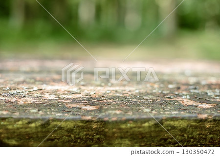 Close-up of a weathered wooden surface with moss in a blurred forest background. Close-up of a weathered wooden surface with moss in a blurred forest background. 130350472