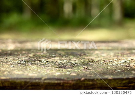 Close-up of a weathered wooden surface with moss in a blurred forest background. Close-up of a weathered wooden surface with moss in a blurred forest background. 130350475