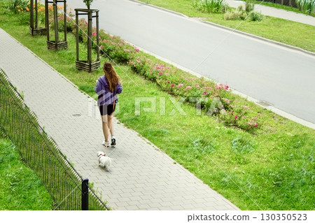 Young woman walking with a small white dog on a leash along a paved path  130350523