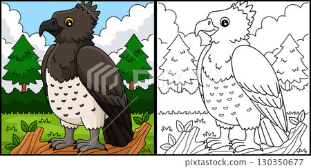 Bird Martial Eagle Coloring Page Illustration  130350677