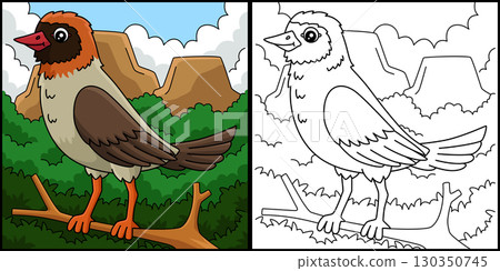 Bird Red Billed Quelea Coloring Page Illustration Bird Red Billed Quelea Coloring Page Illustration 130350745