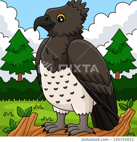 Bird Martial Eagle Colored Cartoon Illustration Bird Martial Eagle Colored Cartoon Illustration 130350852