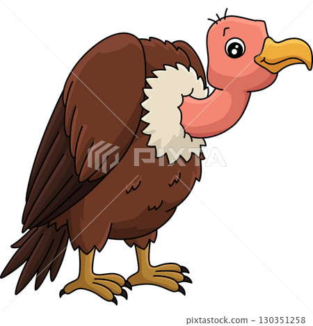 Bird Vulture Cartoon Colored Clipart Illustration 130351258