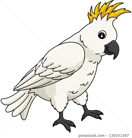 Bird Cockatoo Animal Cartoon Colored Clipart  130351367