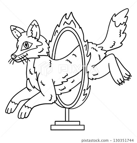 Circus Animal Fox Jumping into Fire Ring Isolated Circus Animal Fox Jumping into Fire Ring Isolated 130351744