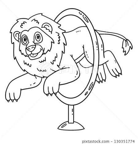 Circus Animal Lion Jumping into a Hoop Isolated  130351774