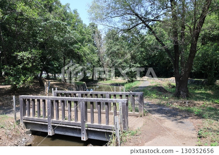 Scenery of Taneashi Forest in Kazo City, Saitama Prefecture 130352656