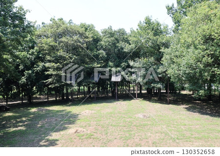 埼玉縣加須市種足森林的風景 130352658