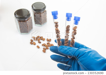 Researcher examines coffee beans in test tubes for quality assessment at laboratory 130352690