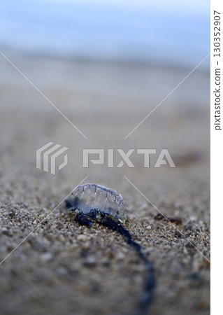 俯瞰大海的葡萄牙戰艦 130352907