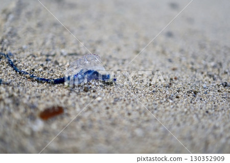 有毒觸手 有毒觸手 130352909