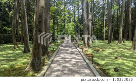 通往神社的道路被森林和綠地環繞 130353056