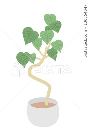 葉子植物 130354047