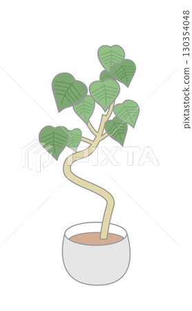 Foliage plant  130354048