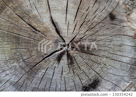 Old grey wood log texture 130354242