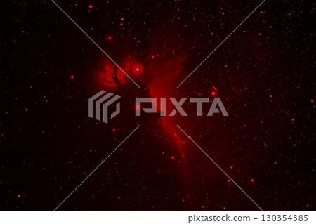 Burning Tree & Horsehead Nebula Burning Tree & Horsehead Nebula 130354385