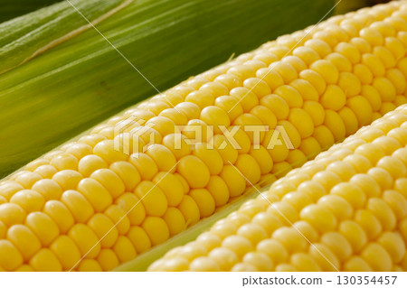 Fresh and sweet corn 130354457