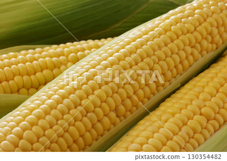 Fresh and sweet corn Fresh and sweet corn 130354482