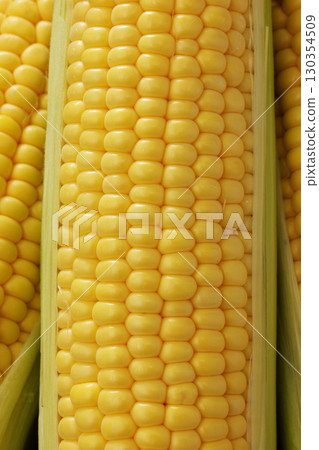 Fresh and sweet corn Fresh and sweet corn 130354509