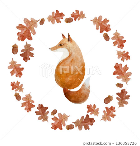 Fox sitting inside wreath of autumn oak leaves and acorns. Watercolor illustration on white. Cozy woodland design, perfect for seasonal cards, invitations, nursery art, and fall decor, stickers Fox sitting inside wreath of autumn oak leaves and acorns. Watercolor illustration on white. Cozy woodland design, perfect for seasonal cards, invitations, nursery art, and fall decor, stickers 130355726