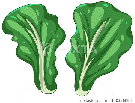 Vibrant Green Leafy Vegetable Illustration 130356096