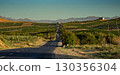 Scenic countryside road leading through vineyards towards mountains 130356304