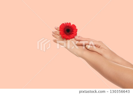 Hands nurture a bright flower symbolizing beauty and care 130356643