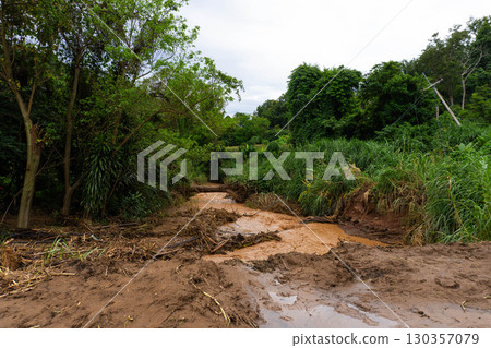 Flooded Stream with Mud and Debris in Forest After Heavy Rain 130357079