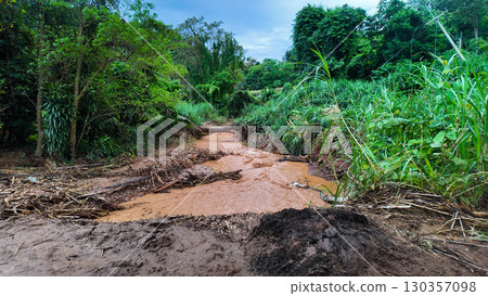 Muddy Flash Flood Stream with Debris in Forest Muddy Flash Flood Stream with Debris in Forest 130357098