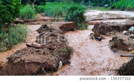 Muddy Flash Flood Stream with Debris in Forest Muddy Flash Flood Stream with Debris in Forest 130357102
