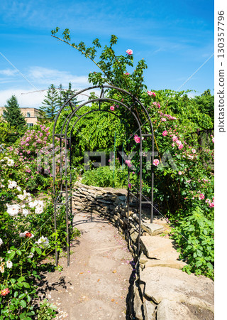 Stone garden path with a metal arch decorated with pink climbing roses, surrounded by lush greenery and colorful blooming flowers under blue sky. Stone garden path with a metal arch decorated with pink climbing roses, surrounded by lush greenery and colorful blooming flowers under blue sky. 130357796